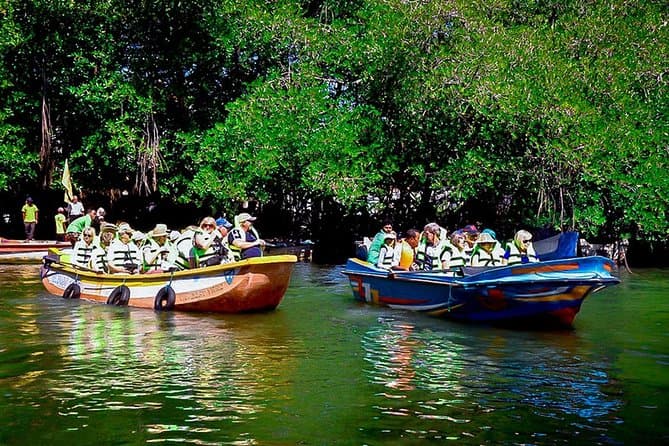 Bentota Boat safari