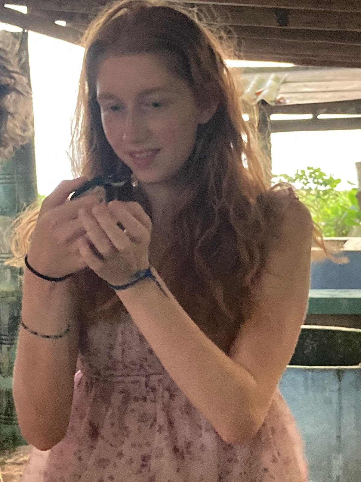 Sea Turtle
Conservation