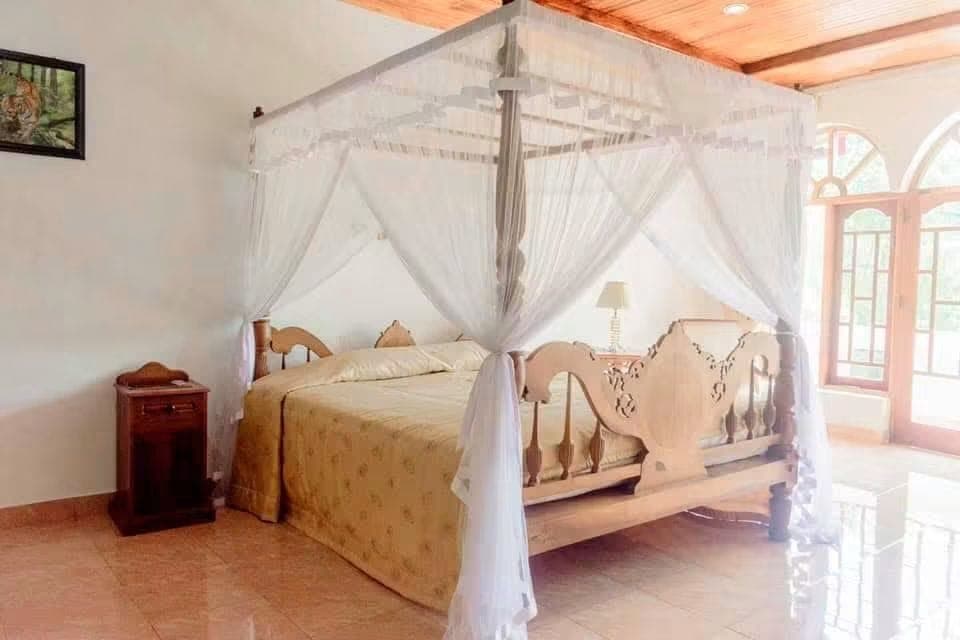 Vibe image 5