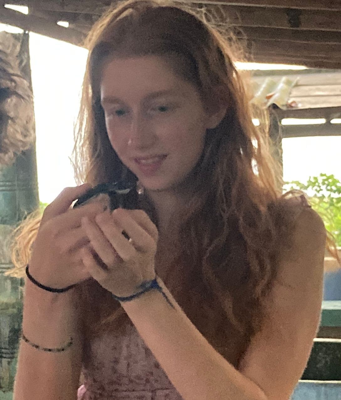Sea Turtle
Conservation